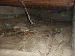 View Crawl Space Remediation https://servicewaterrestorationpros.com/wp-content/uploads/2023/08/Crawl-Space-Cleanup-Crawl-Space-Remediation-Crawlspace-Insulation-Crawl-Space-f6d6aa6c.jpeg