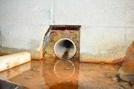 A Photo of Crawl Space Remediation https://servicewaterrestorationpros.com/wp-content/uploads/2023/08/Crawl-Space-Cleanup-Crawl-Space-Remediation-Crawlspace-Insulation-Website-Content-bb7bf2e7.jpeg