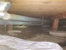 Check Out Crawl Space Remediation https://servicewaterrestorationpros.com/wp-content/uploads/2023/08/Crawl-Space-Cleanup-Crawl-Space-Remediation-Crawlspace-Insulation-Website-Content-cf158657.jpeg