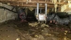 Picture related to Crawl Space Remediation https://servicewaterrestorationpros.com/wp-content/uploads/2023/08/Crawl-Space-Cleanup-Crawl-Space-Remediation-Crawlspace-Insulation-Website-Content-e1e44dee.jpeg